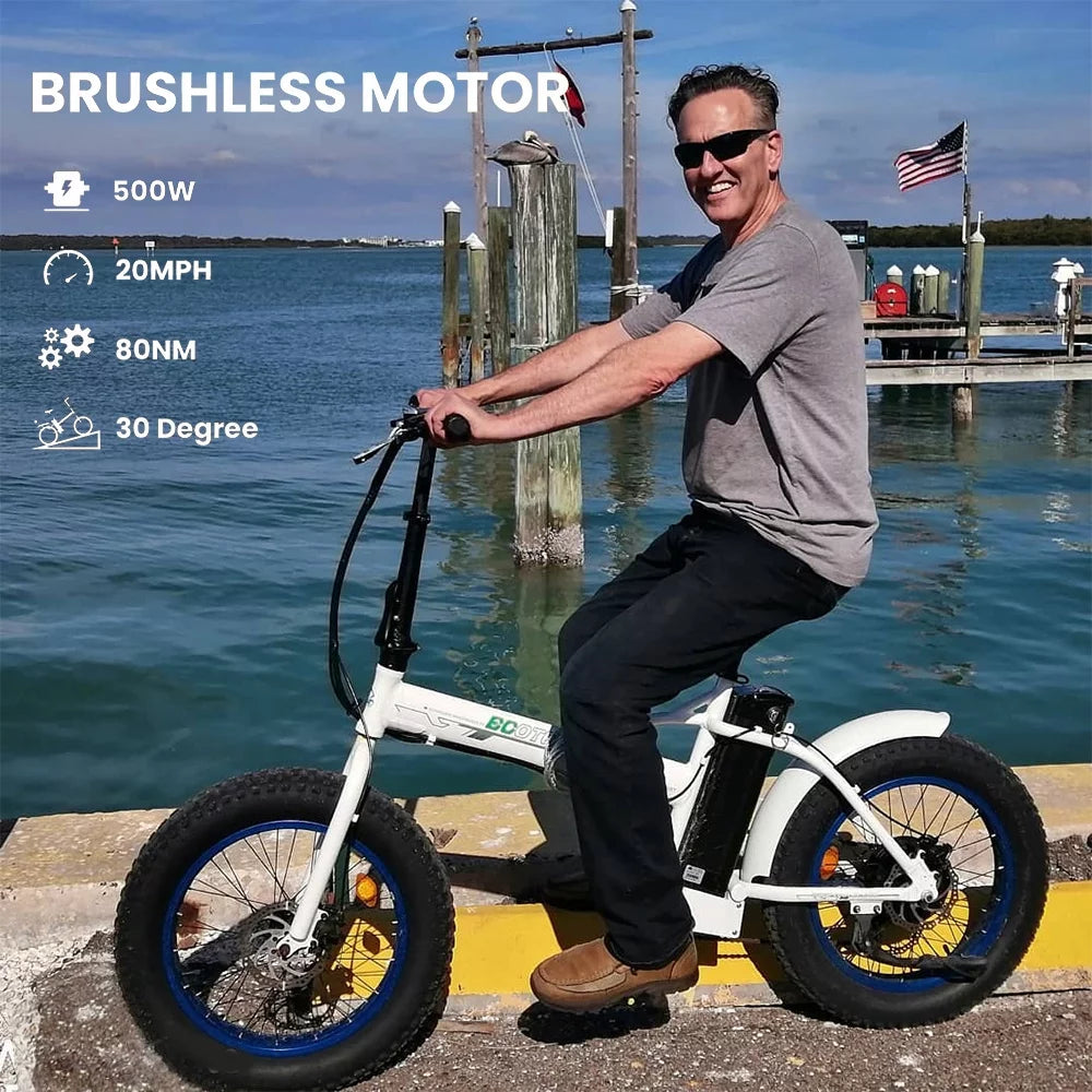20 Fat Tire Folding Electric Bike 500W 36V M1862