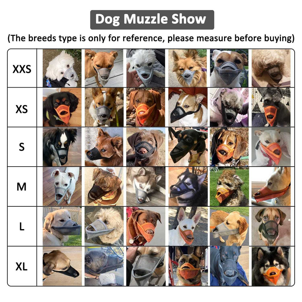 Nylon Dog Muzzle B155281