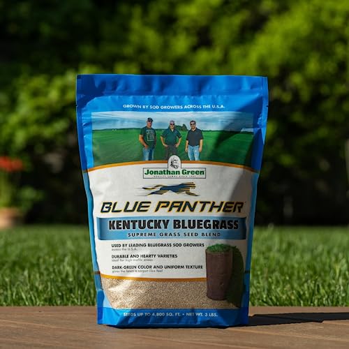 Blue Panther Kentucky Bluegrass Grass Seed (25 lb) M852