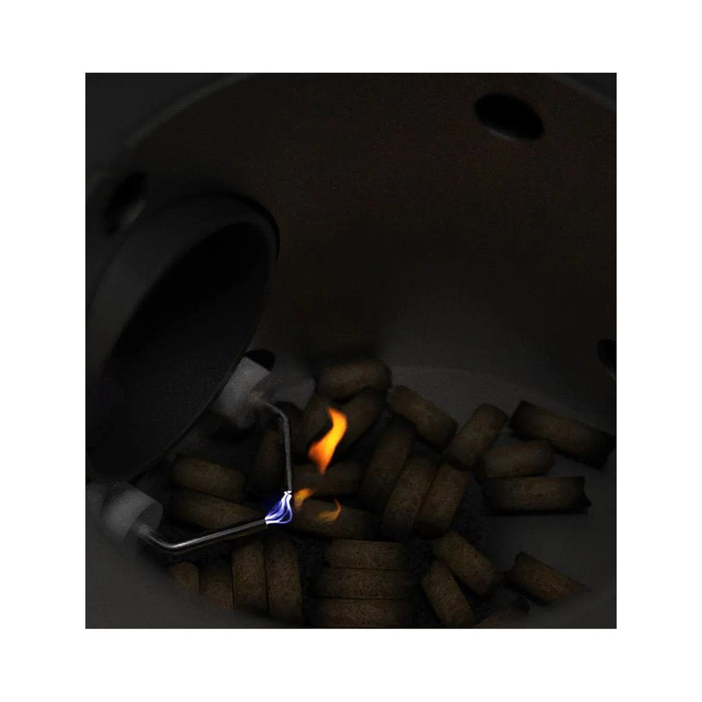 Portable Outdoor Pellet Grill E1160