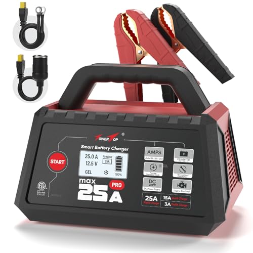 12V Fully Automatic Smart Battery Charger J8242