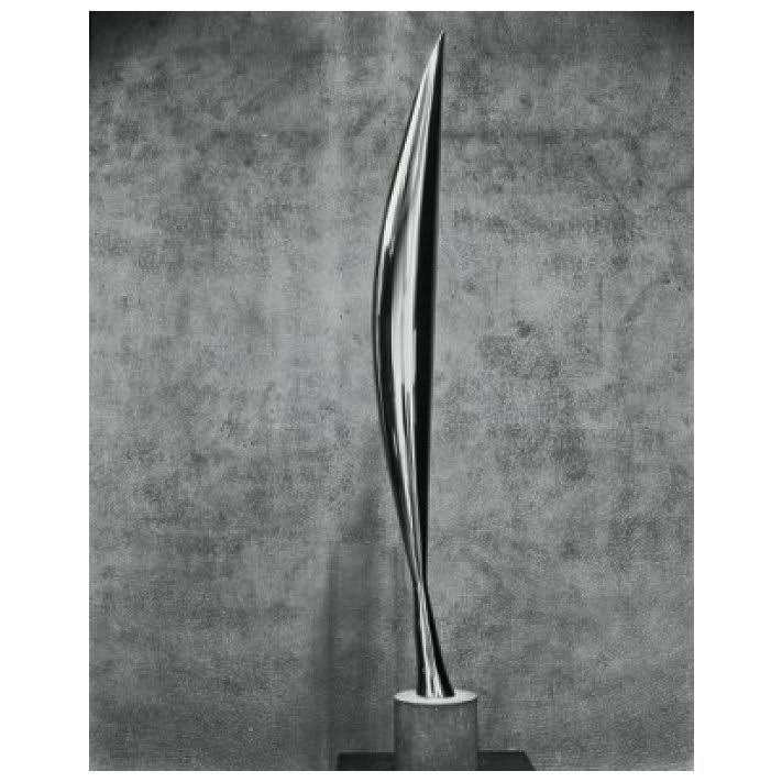 Bird in Space 1919 Bronze V641
