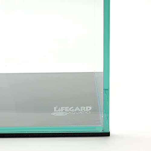 5 Gallon Rimless Clear Glass Aquarium 5mm Thick Glass I711620