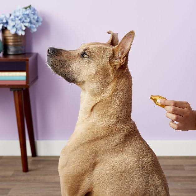 Essential 6 Spot-On Dogs O950887