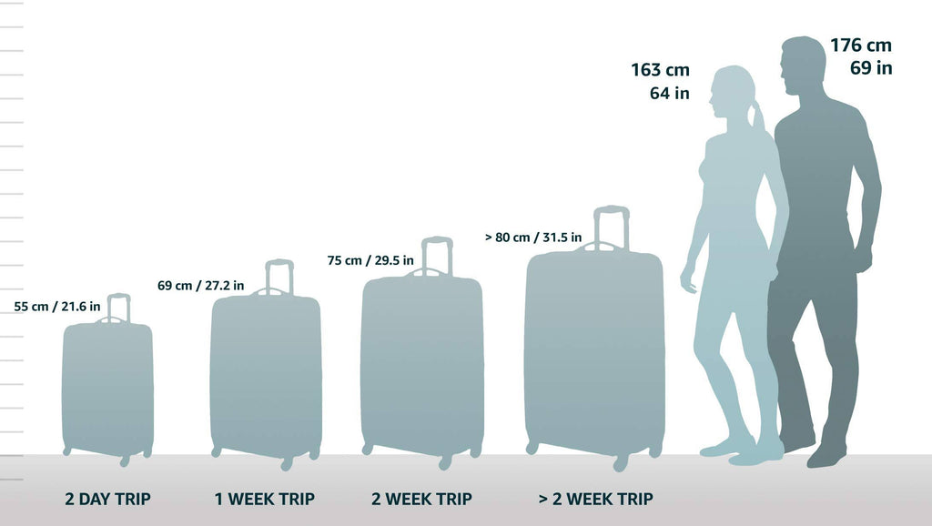Spinner Hardside Upright Suitcase B549649