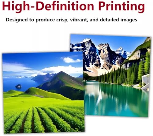 DTF Printer Set of 4 Ink F520