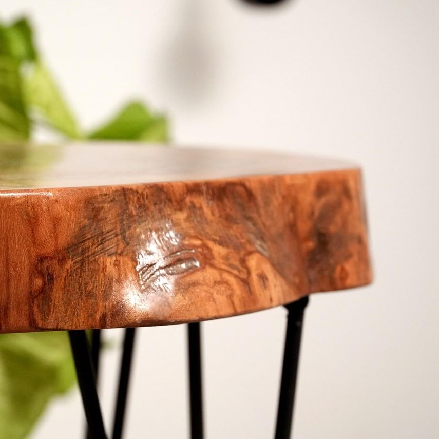 Walnut Live Edge Solid Wood Round Coffee Table (24") T263338