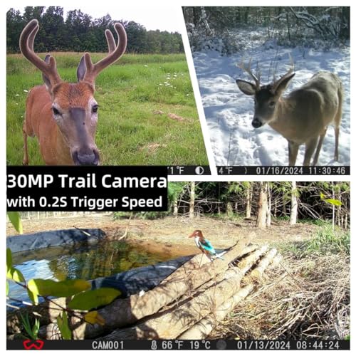 30MP 1920P HD 3 Pack Trail Camera with SD Cards Z266612