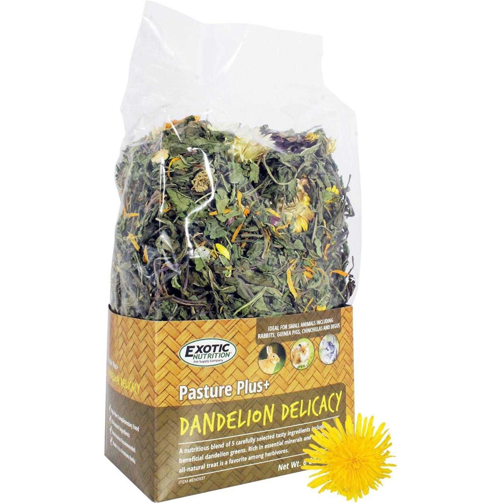 Dandelion Delicacy Pet Supplies T452