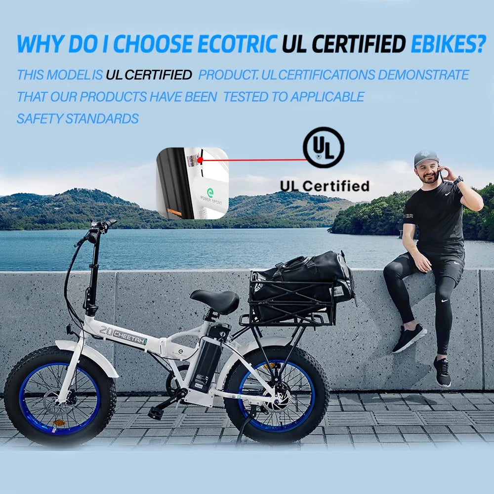 20 Fat Tire Folding Electric Bike 500W 36V M1862