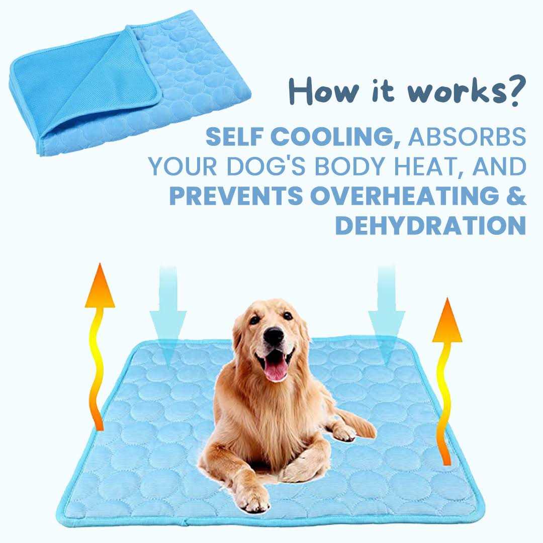Dog Cooling Mat D37538