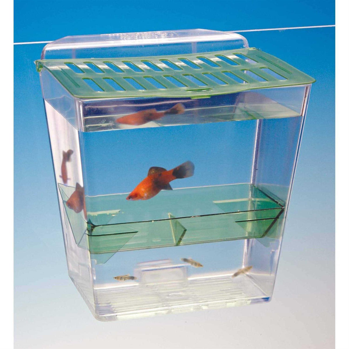 Home Goods Z5706