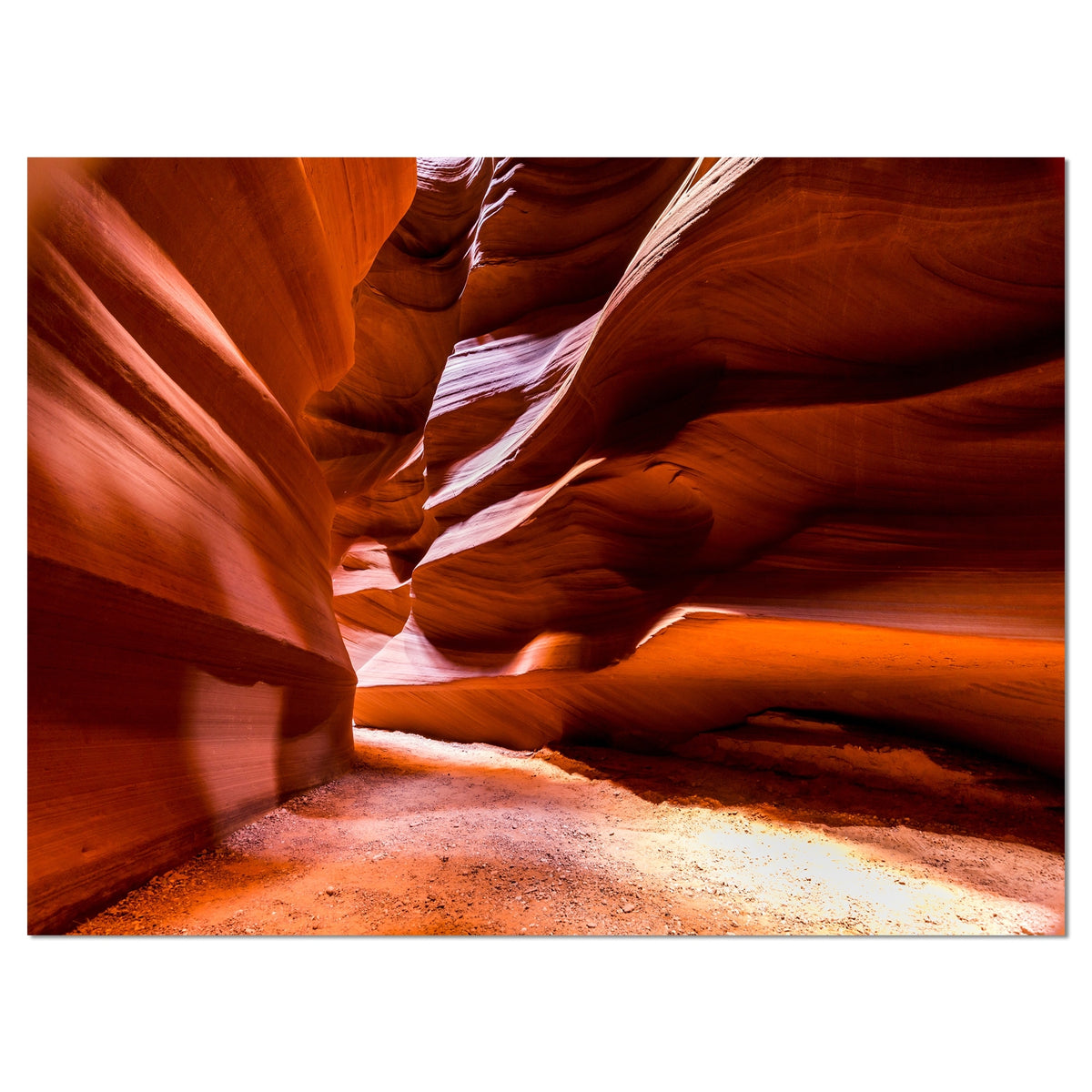 4 Piece Photographic Print on Wrapped Canvas Set B6342