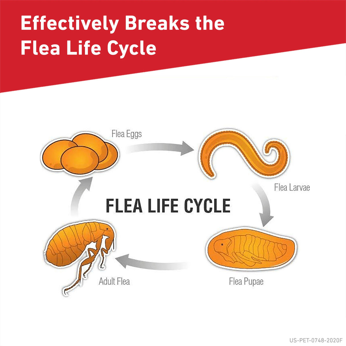 Flea and Tick Control for Dogs, 6 Mo. Supply M84166