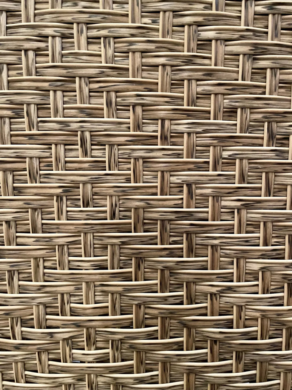 Outdoor Club Chair with Cushions N182375