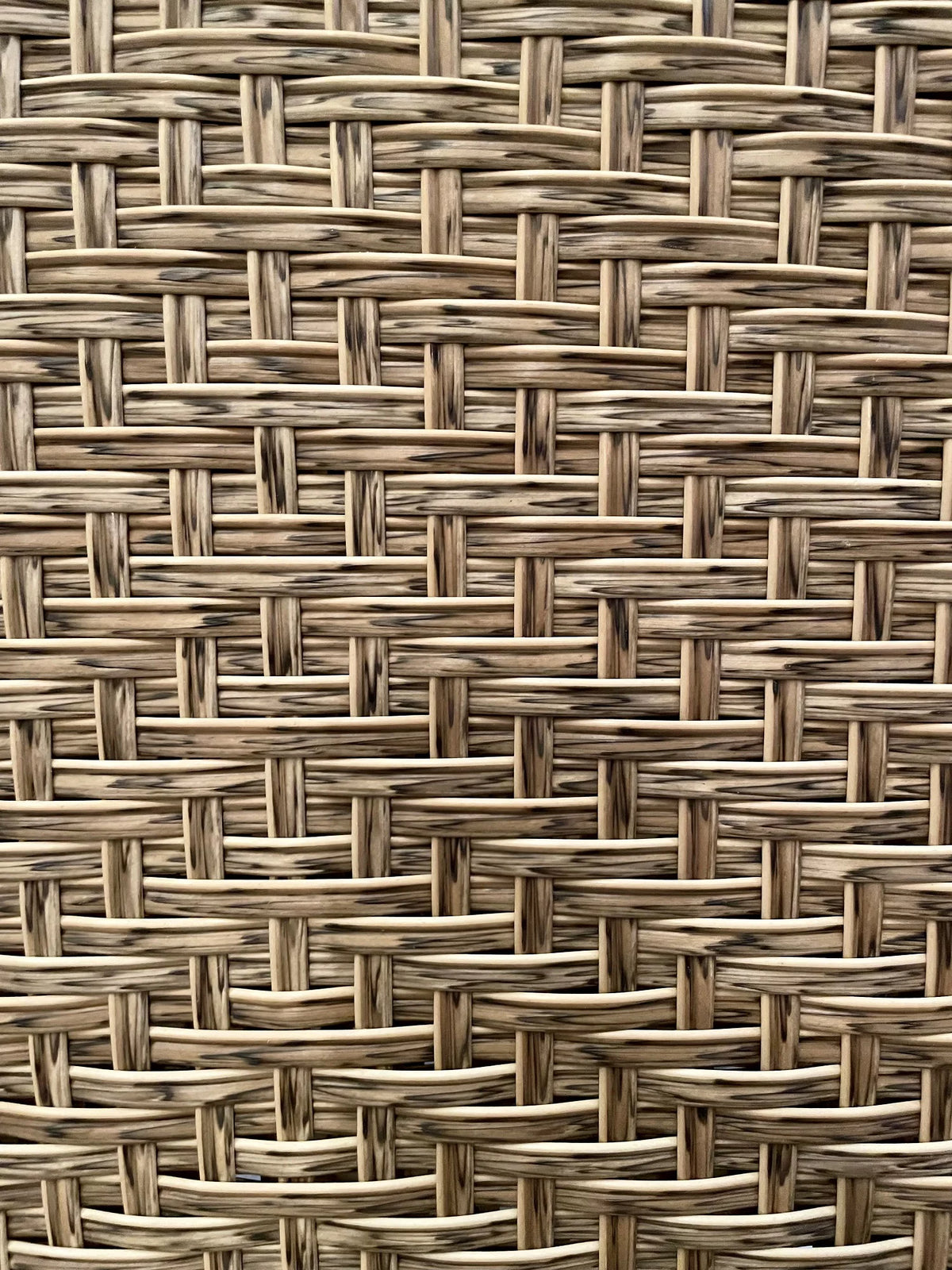 Outdoor Club Chair with Cushions N182375