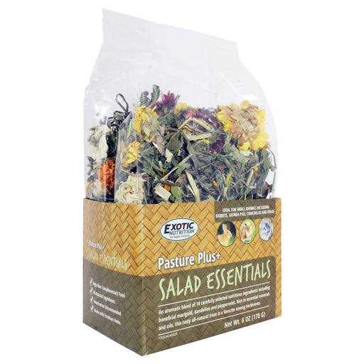 Dandelion Delicacy Pet Supplies T452