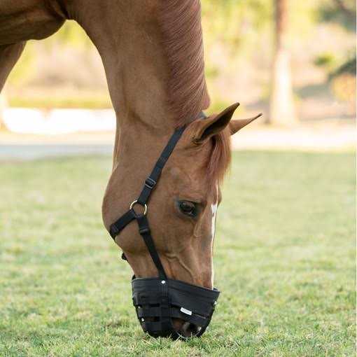 Poly Grazing Muzzle L9528