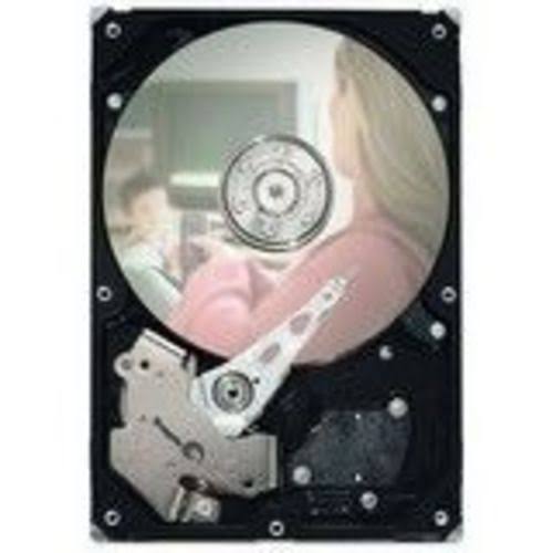 250GB 7200RPM SATA Internal Desktop Hard Drive P42360