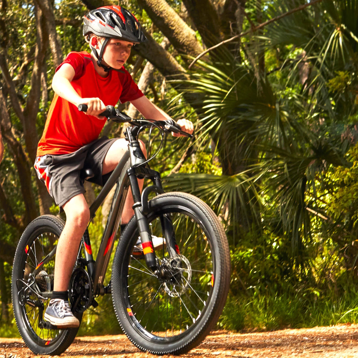 24 21-Speed Mountain Bike with Disc Brakes B831