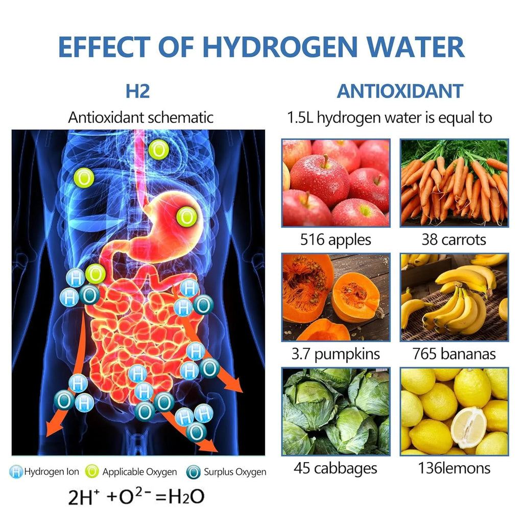 Hydrogen Water Bottle N5991