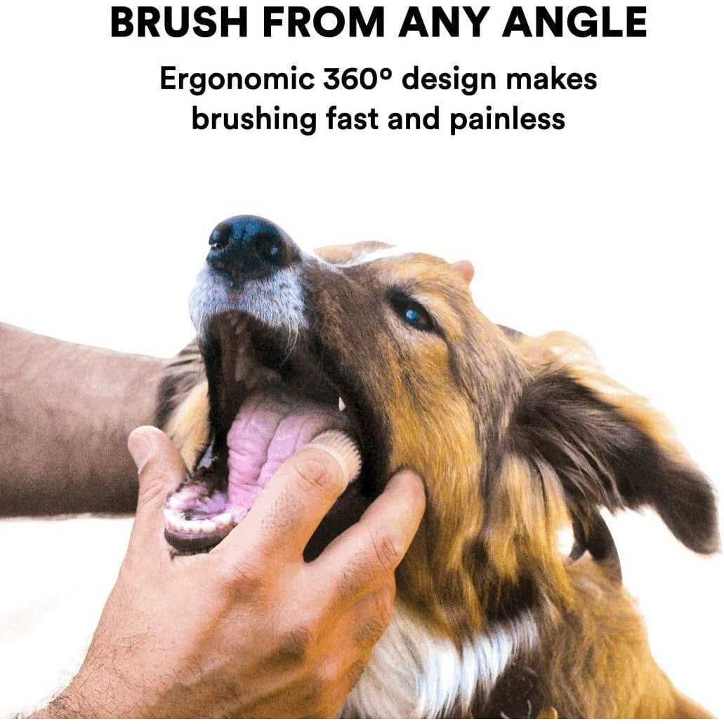 Dog Toothbrush B122