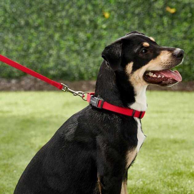 Solid Nylon Dog Leash D58776
