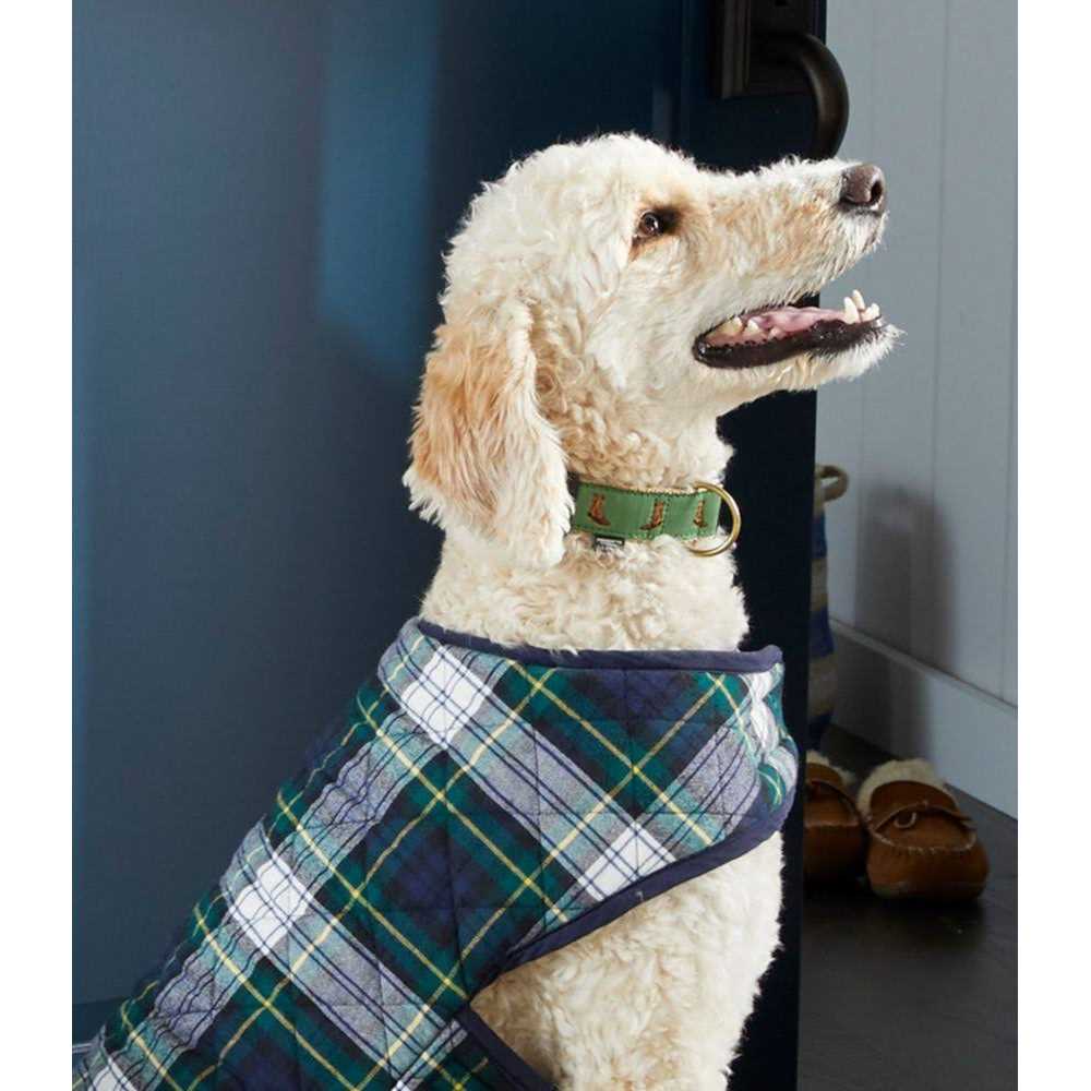 Dog Collar T6379