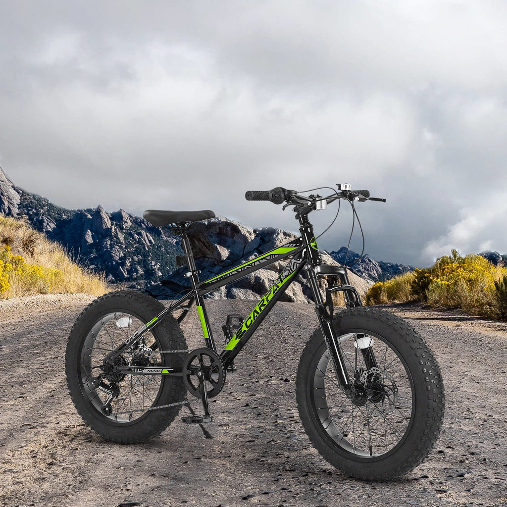 20'' 7 Speed Kids Mountain Bike with 4 inch Fat Tire B61805