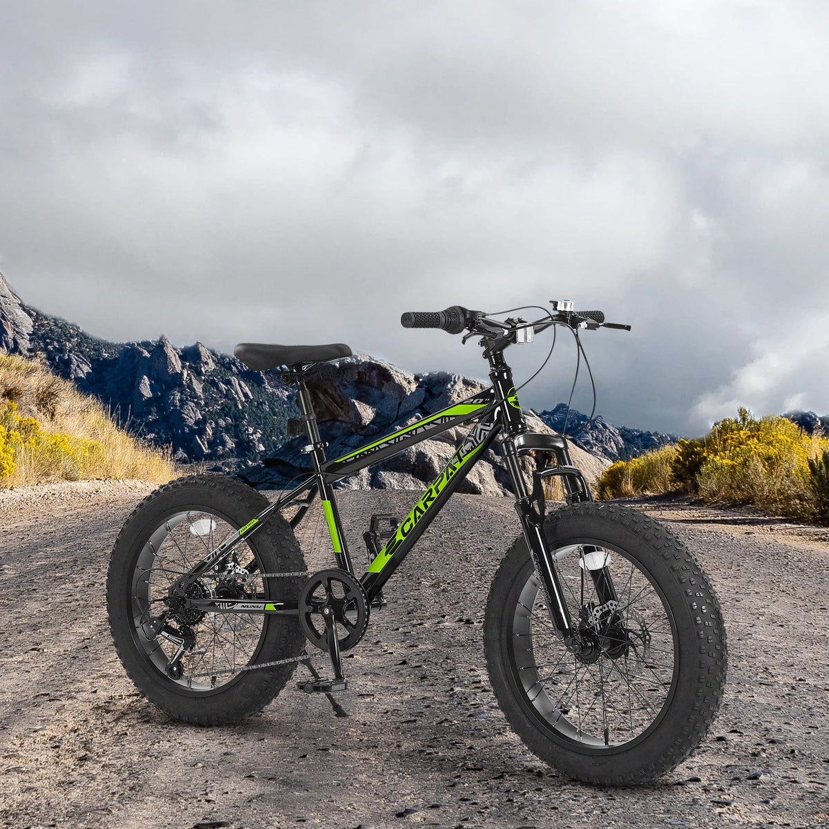 20'' 7 Speed Kids Mountain Bike with 4 inch Fat Tire B61805