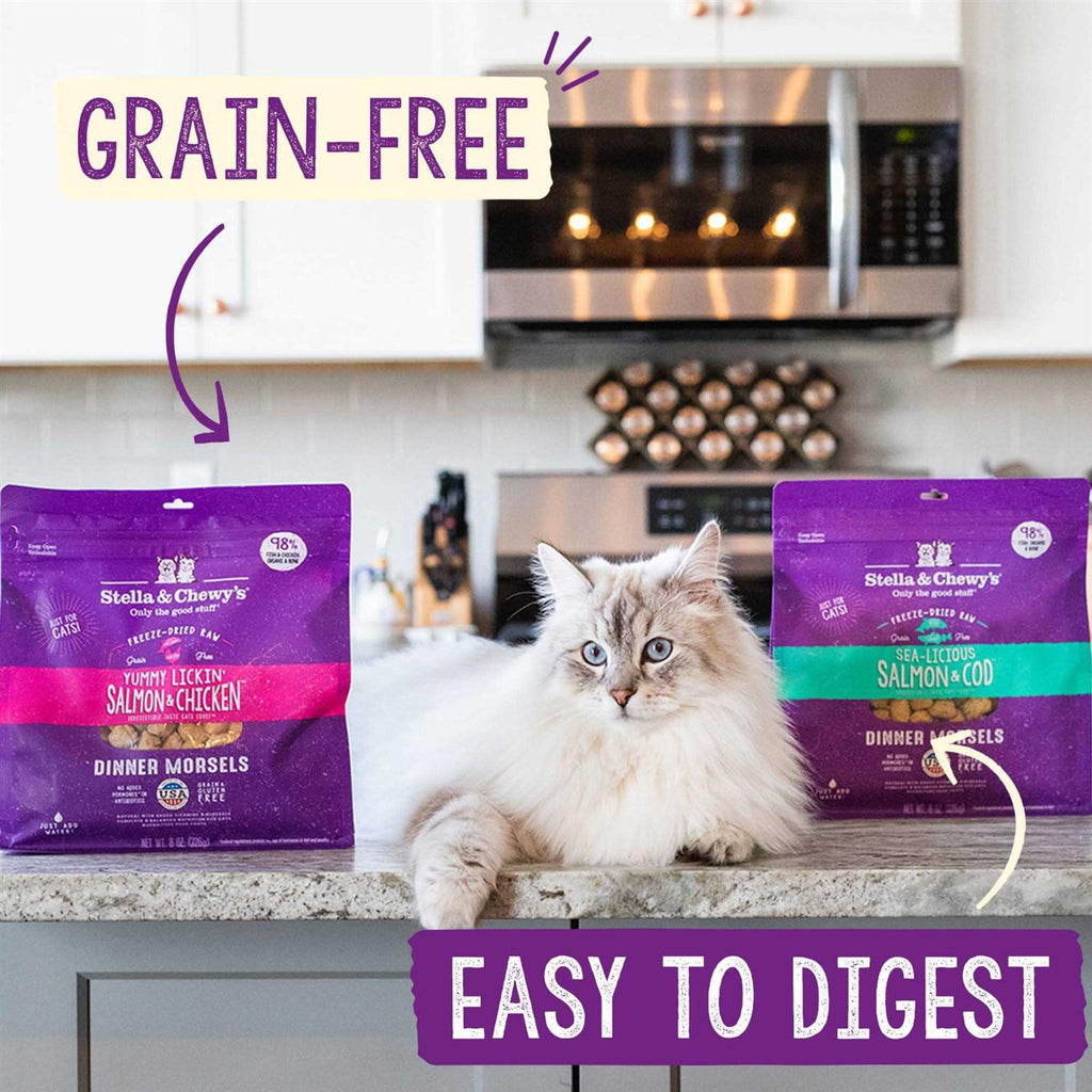 Freeze-Dried Cat Dinner P468638