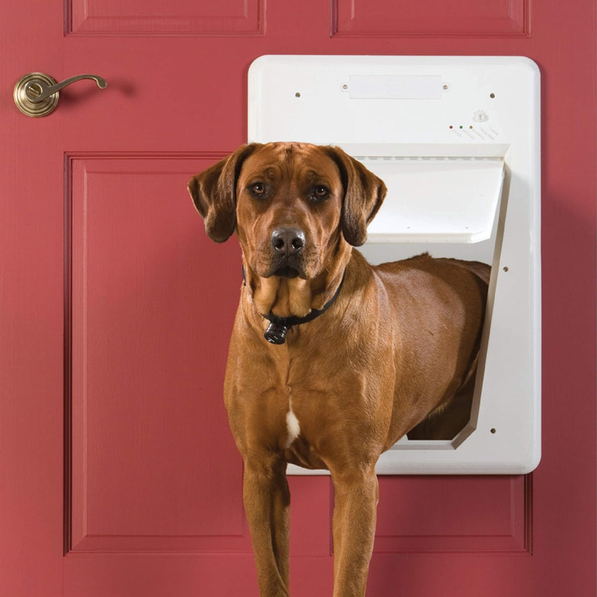 SmartDoor for Dog and Cat Door U370