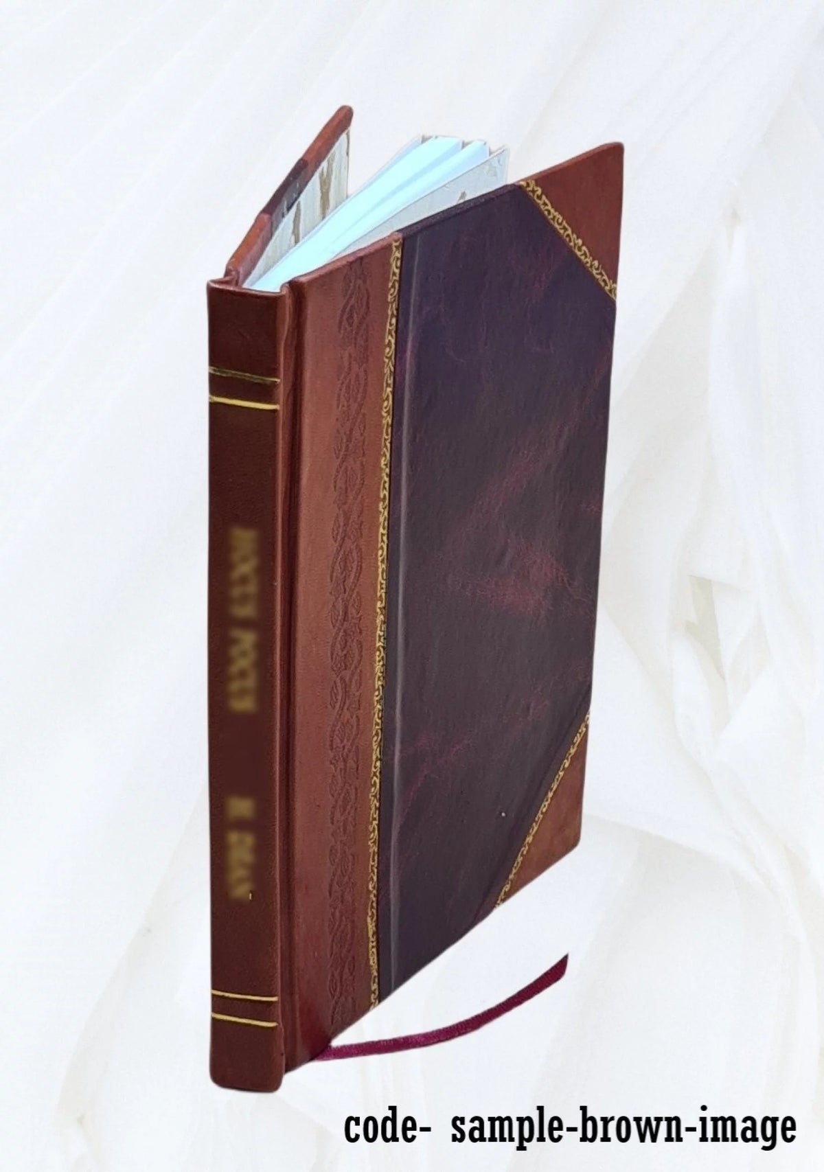 Emergency Medical Service Projects Report Leather Bound J45747