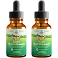 Liquid Multivitamin for Kids with C D3 E B6 (2 Pack) L112027