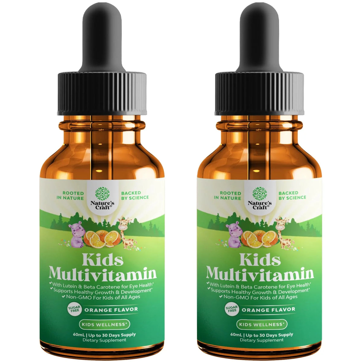 Liquid Multivitamin for Kids with C D3 E B6 (2 Pack) L112027
