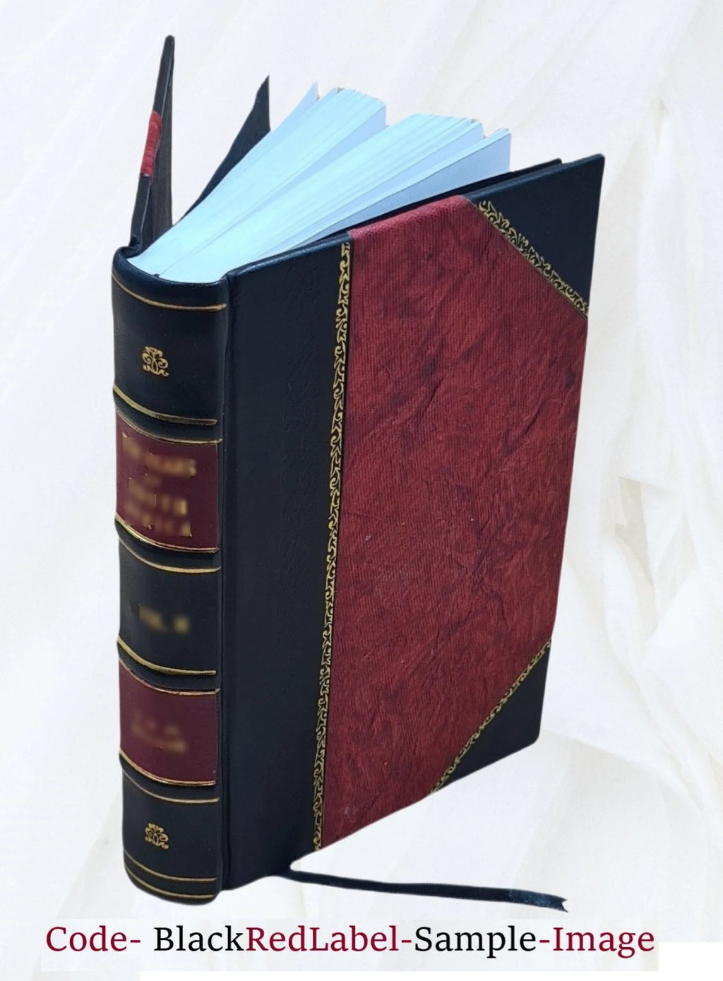 Germany, the next republic? By Carl W. Ackerman. 1917 [Leather Bound] D4737