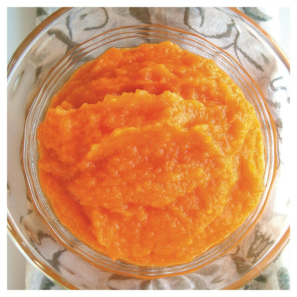Baby Food Maker 5-cup V80551