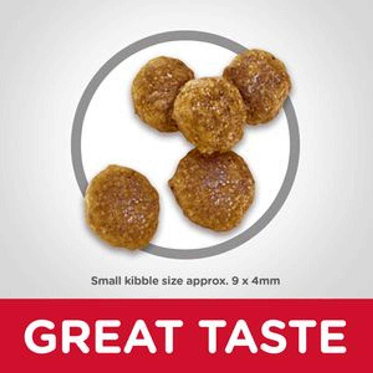 Dog Food Q928652