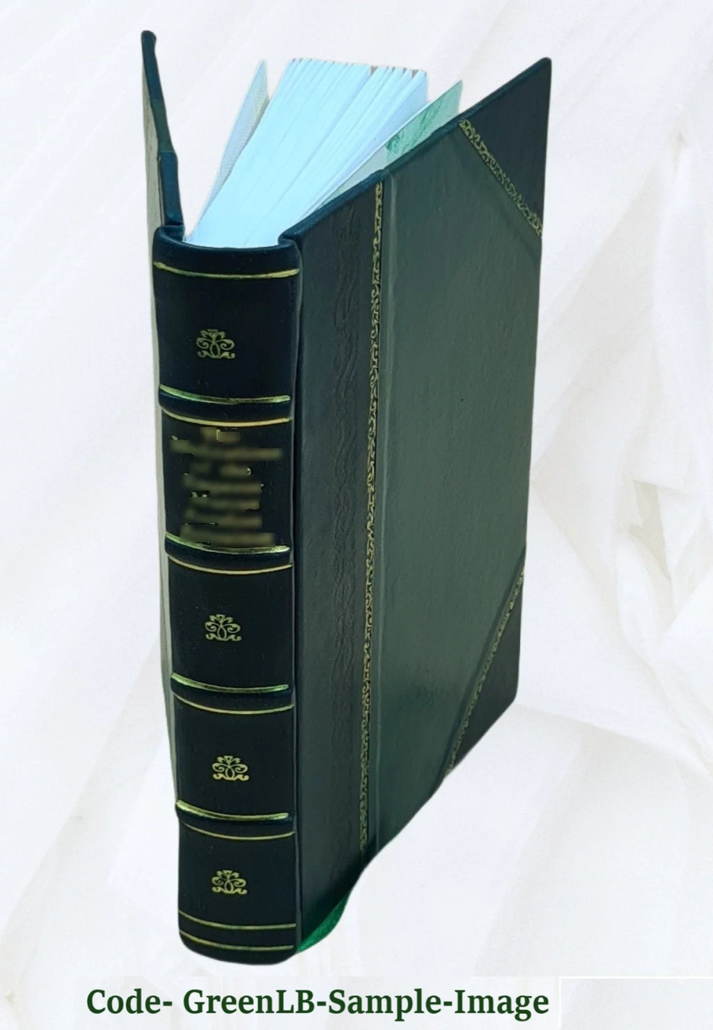 Italiens im mittelalter Volume 1 Leather Bound U422070
